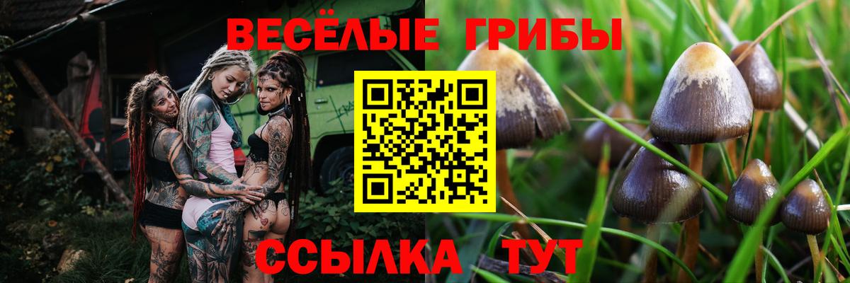 Галлюциногенные грибы мухоморы  Вход с VPN  Ступино 